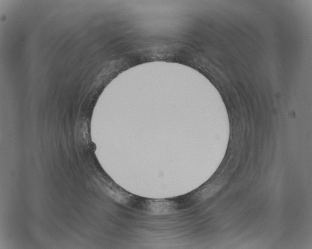 X0000068840336200605261647