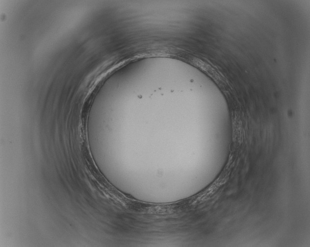 X0000068840338200605261646