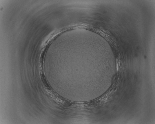 X0000068840339200605261646