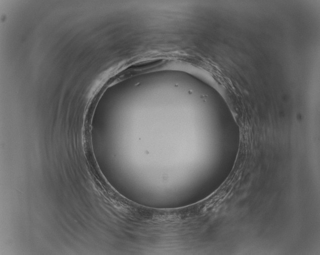 X0000068840340200605261646