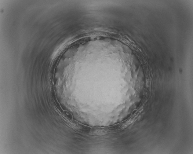 X0000068840341200605261646