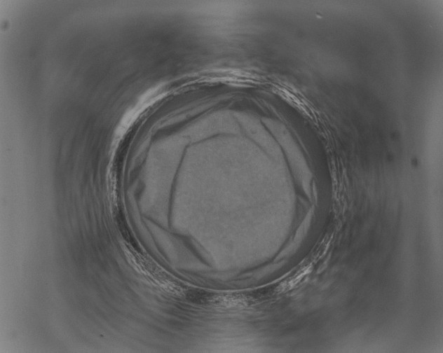 X0000068840343200605261646