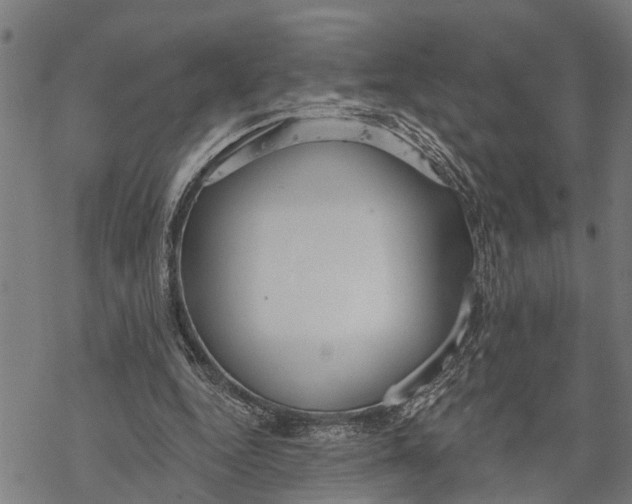 X0000068840344200605261646