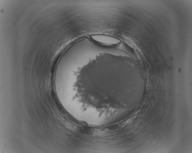 X0000068840346200605261646