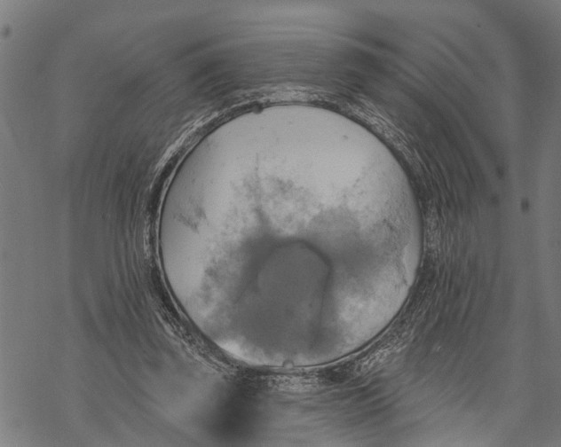 X0000068840347200605261646