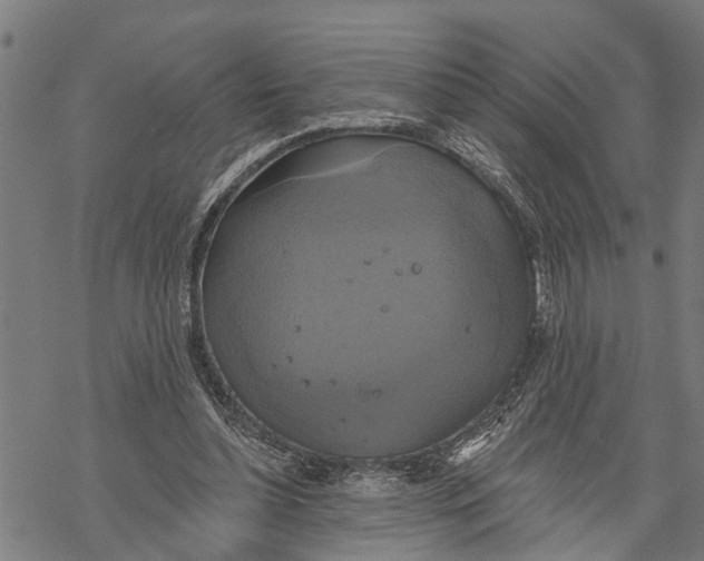 X0000068840348200605261646