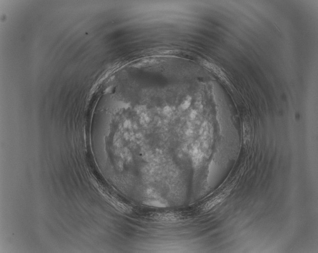 X0000068840349200605261646