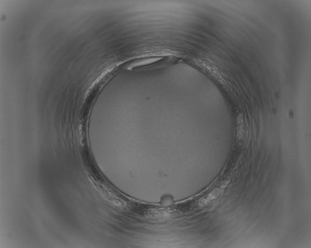 X0000068840351200605261646