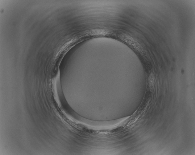 X0000068840352200605261646