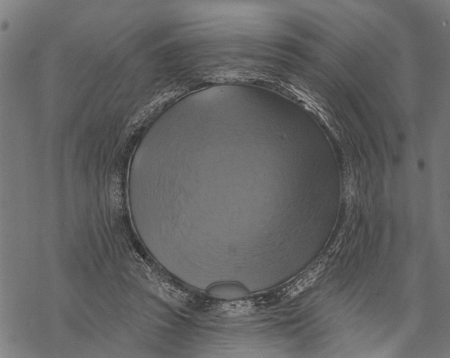 X0000068840353200605261646