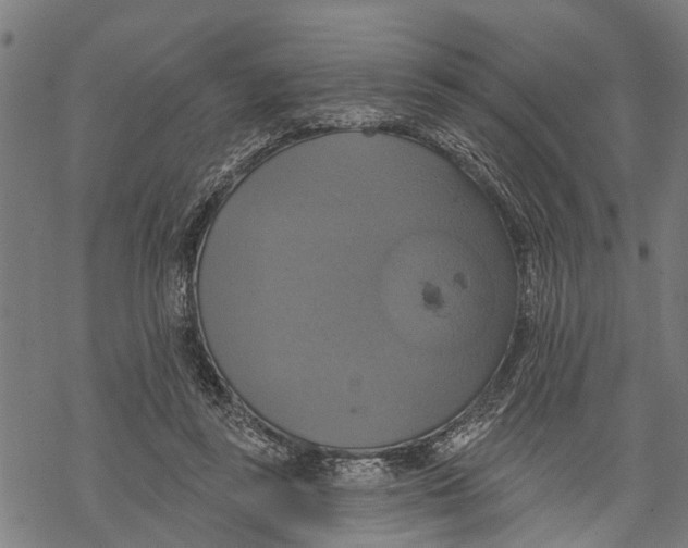 X0000068840355200605261646