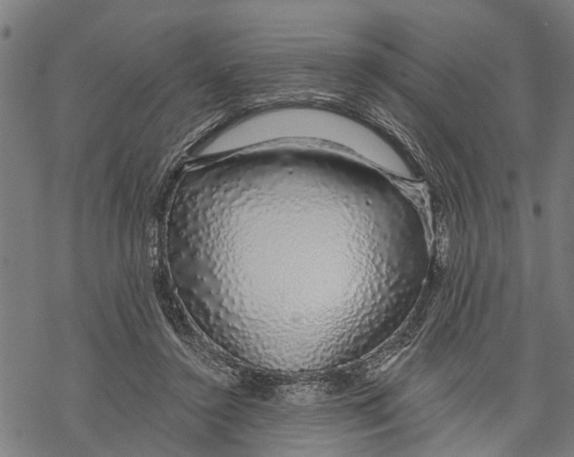 X0000068840356200605261646