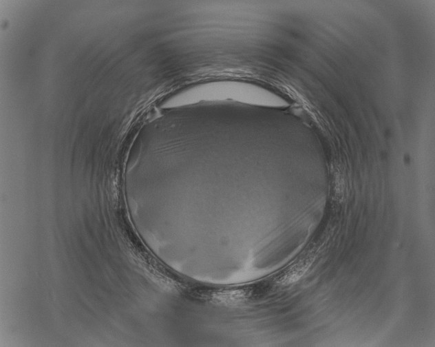 X0000068840357200605261646