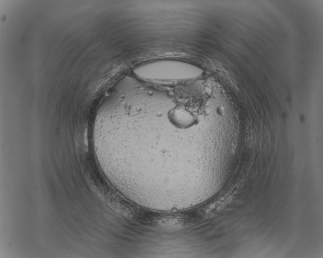 X0000068840358200605261646