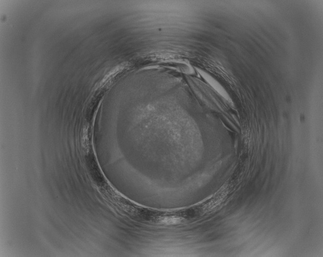 X0000068840360200605261646