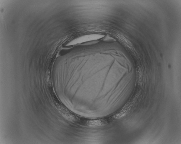 X0000068840361200605261646