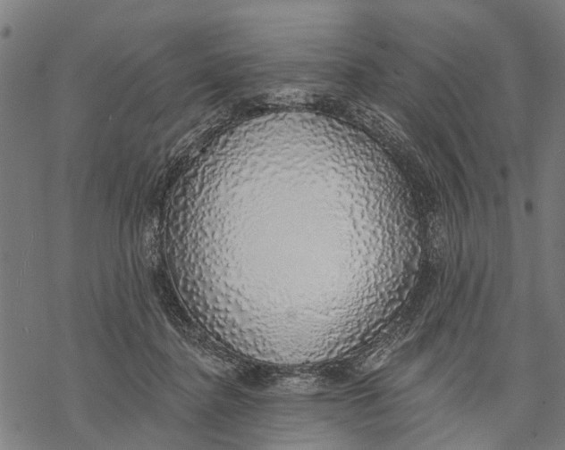 X0000068840364200605261646