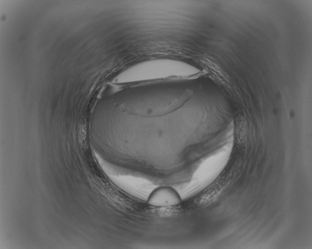 X0000068840365200605261646