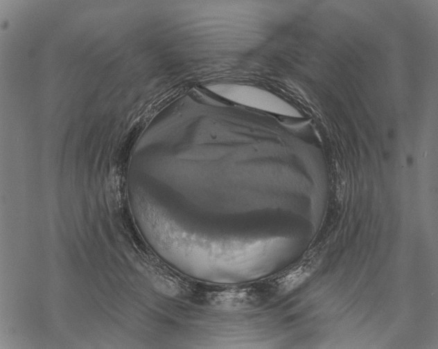 X0000068840366200605261646