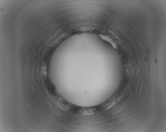 X0000068840368200605261646