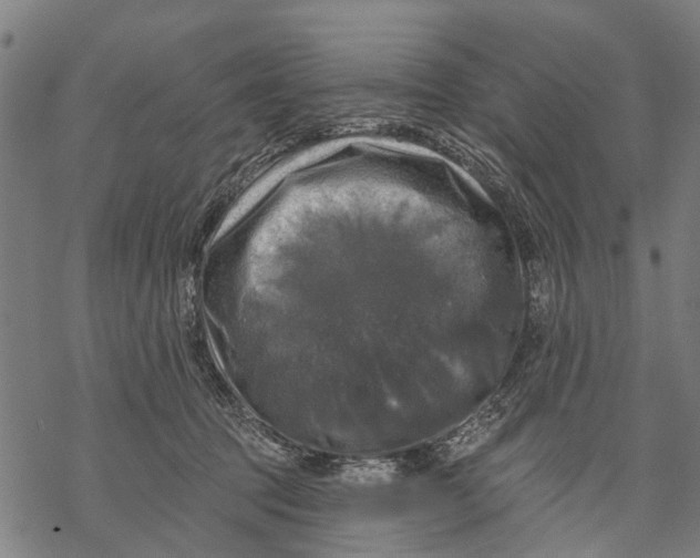 X0000068840369200605261646