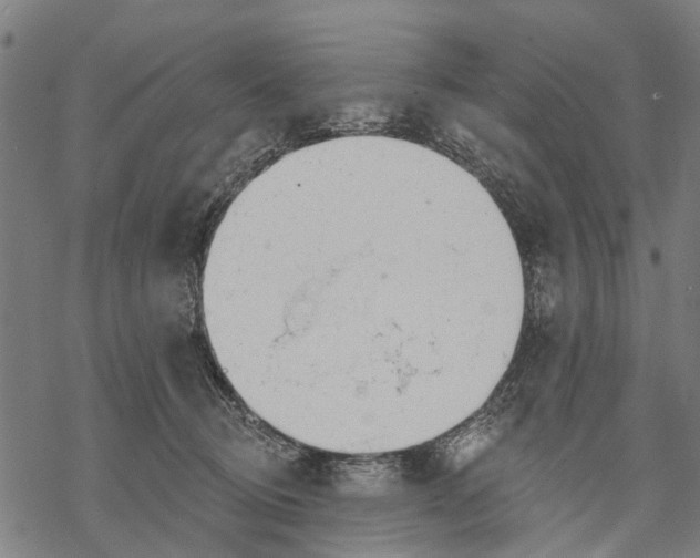 X0000068840370200605261646