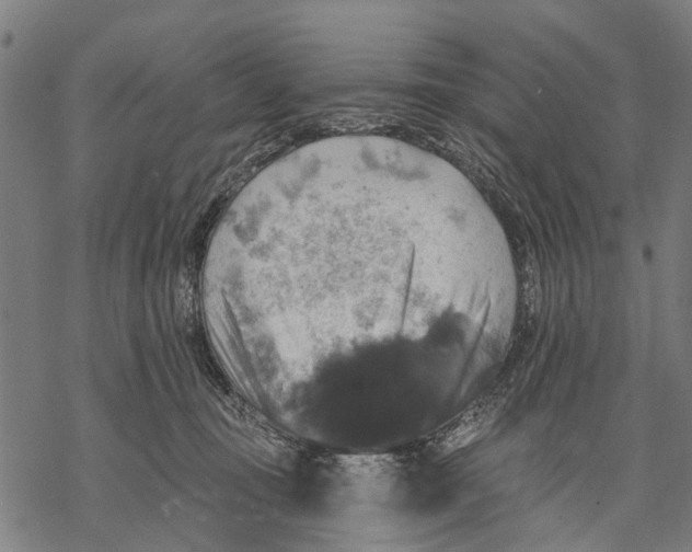 X0000068840371200605261646