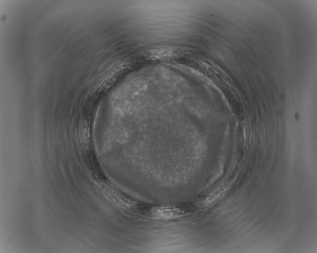 X0000068840372200605261646