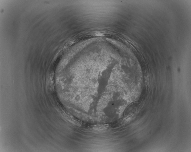 X0000068840373200605261646