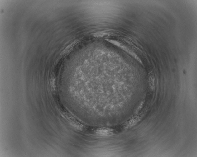 X0000068840375200605261646