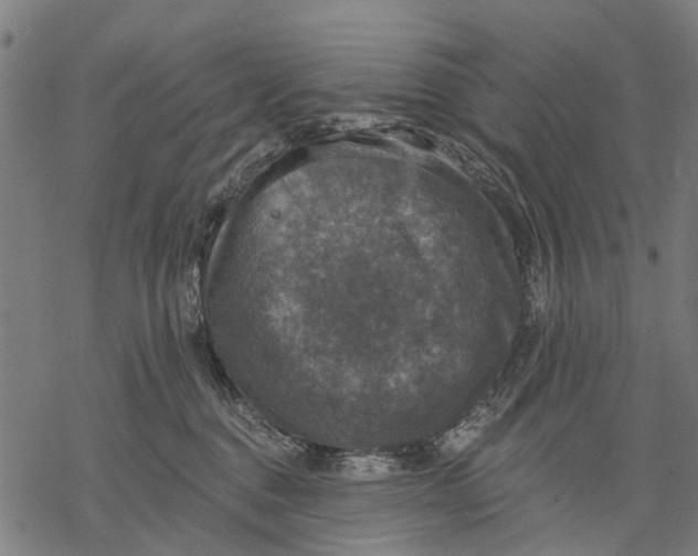 X0000068840376200605261646