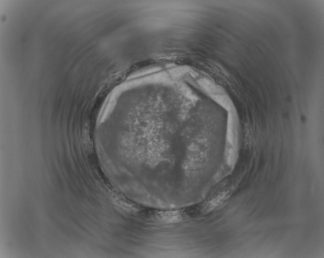 X0000068840377200605261646