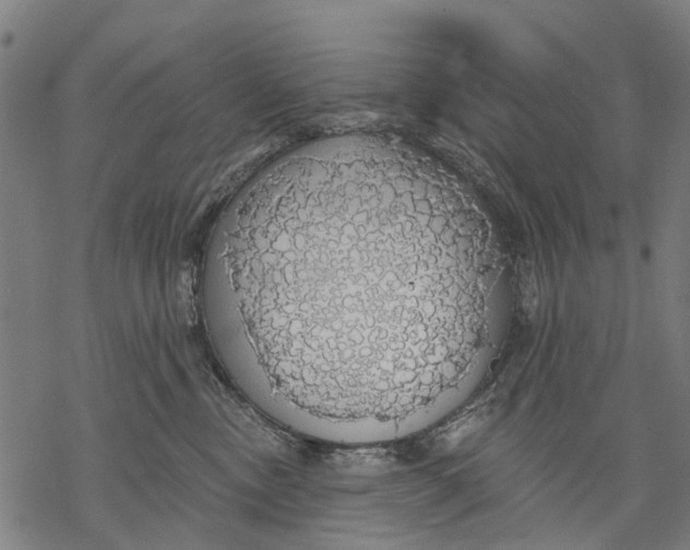 X0000068840378200605261646