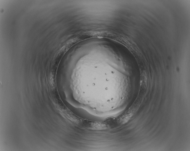 X0000068840380200605261646