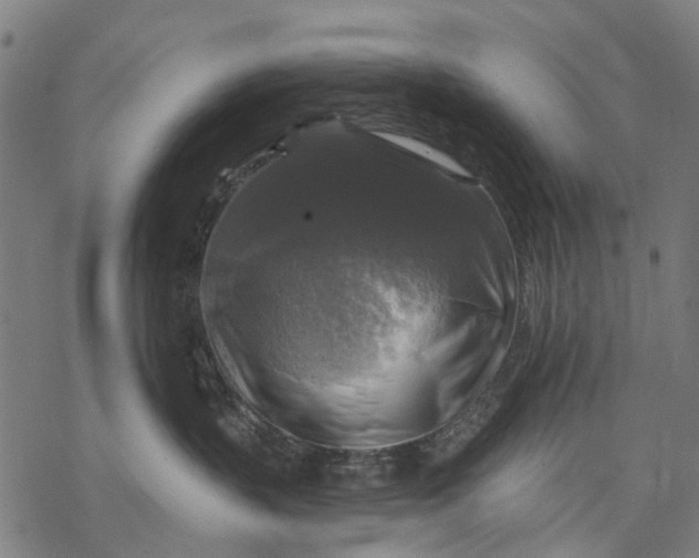 X0000068840383200605261646