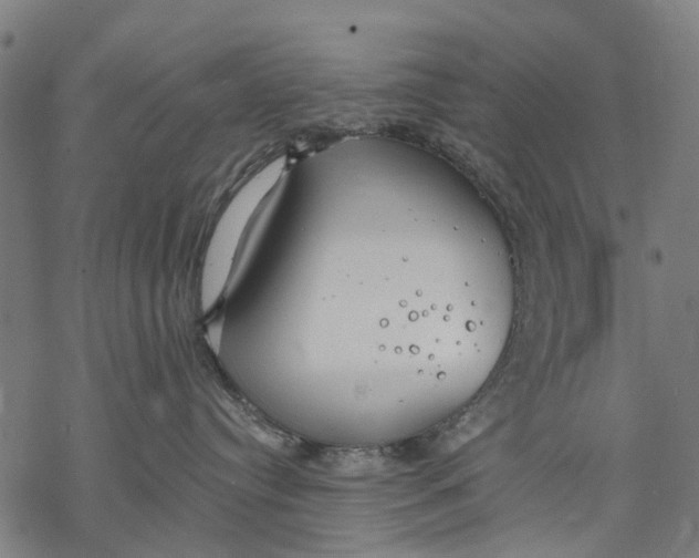 X0000068840384200605261646