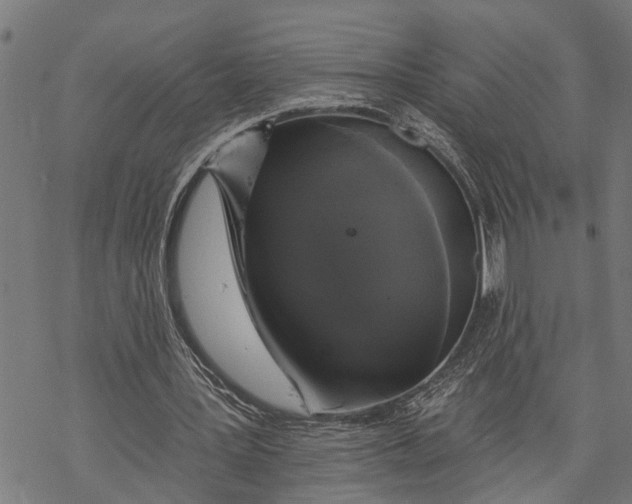 X0000068840387200605261646