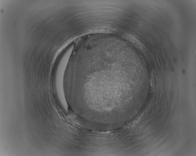 X0000068840388200605261646