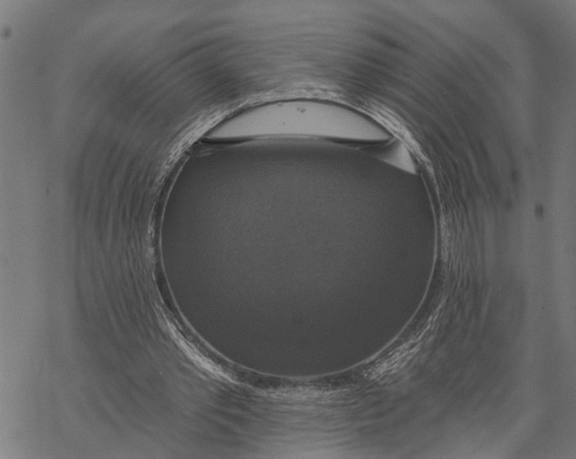 X0000068840389200605261646