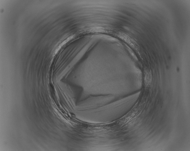 X0000068840390200605261646