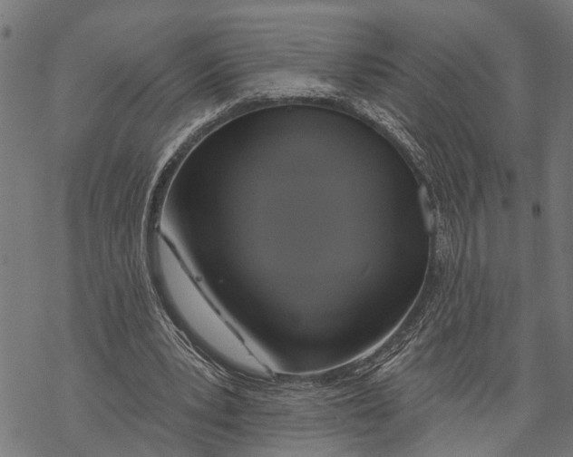 X0000068840391200605261646