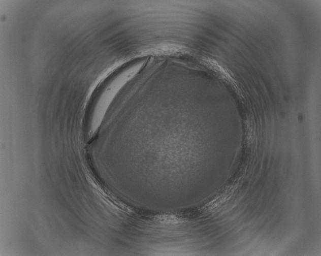 X0000068840392200605261646