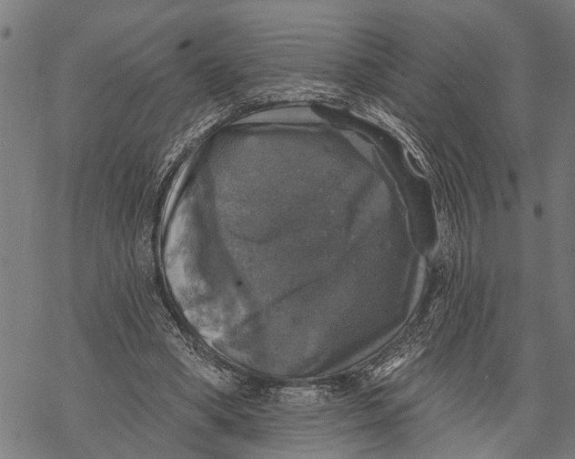 X0000068840394200605261646