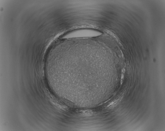 X0000068840395200605261646