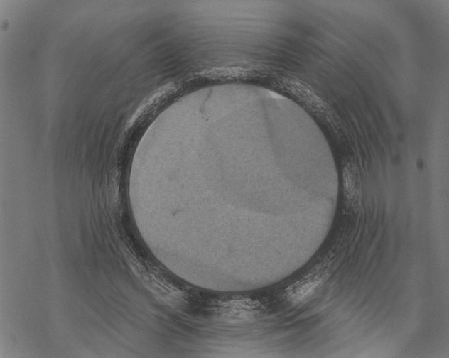 X0000068840396200605261646