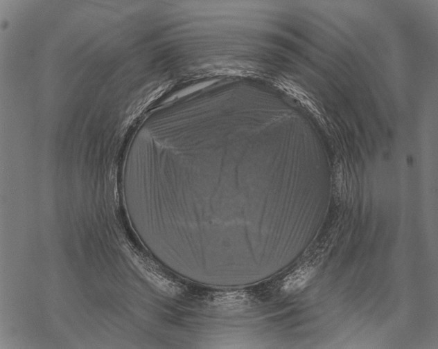 X0000068840398200605261646