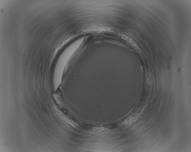 X0000068840399200605261645