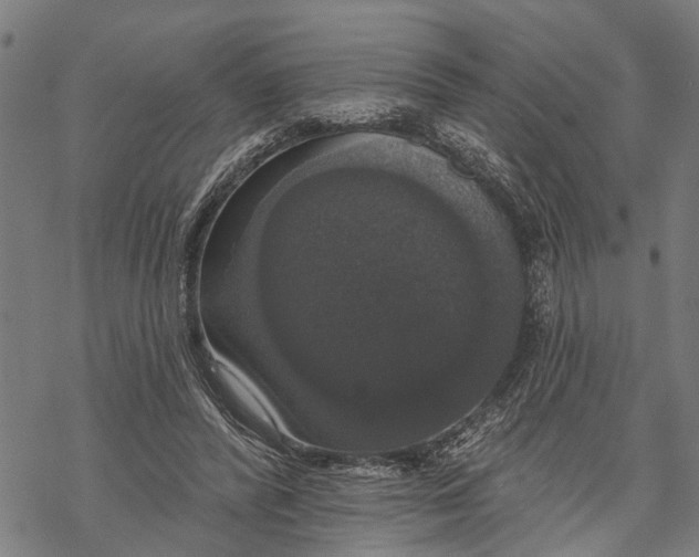 X0000068840400200605261645