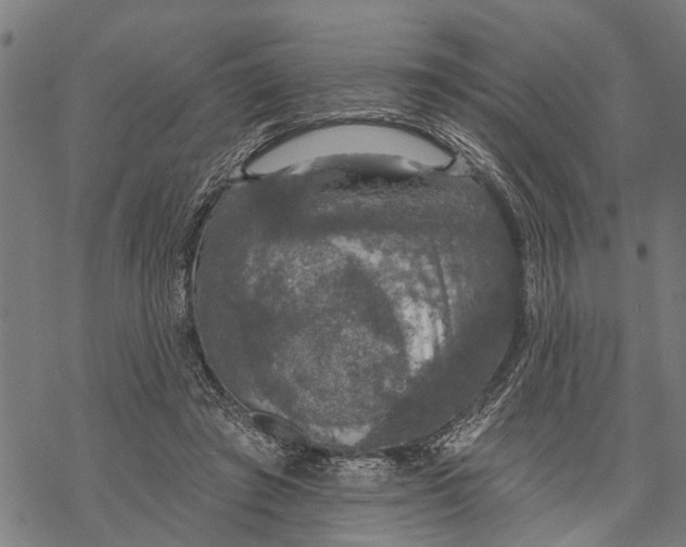 X0000068840401200605261645