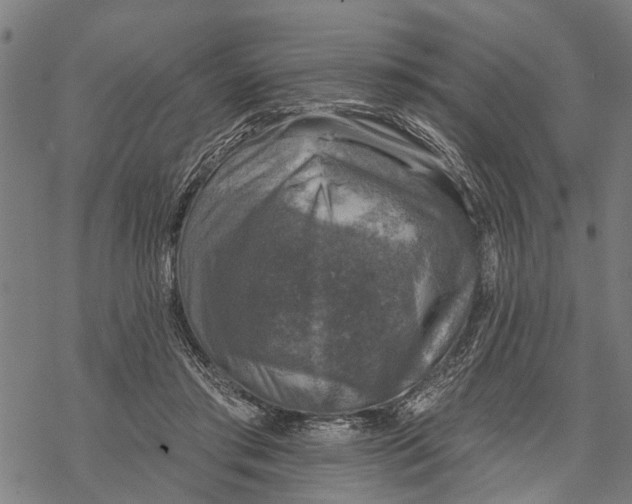 X0000068840405200605261645